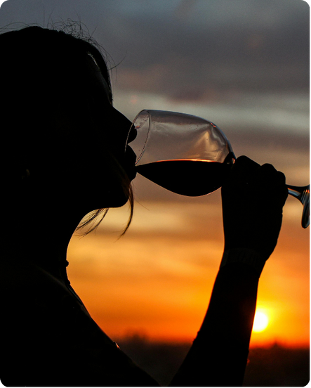 Wellness wine