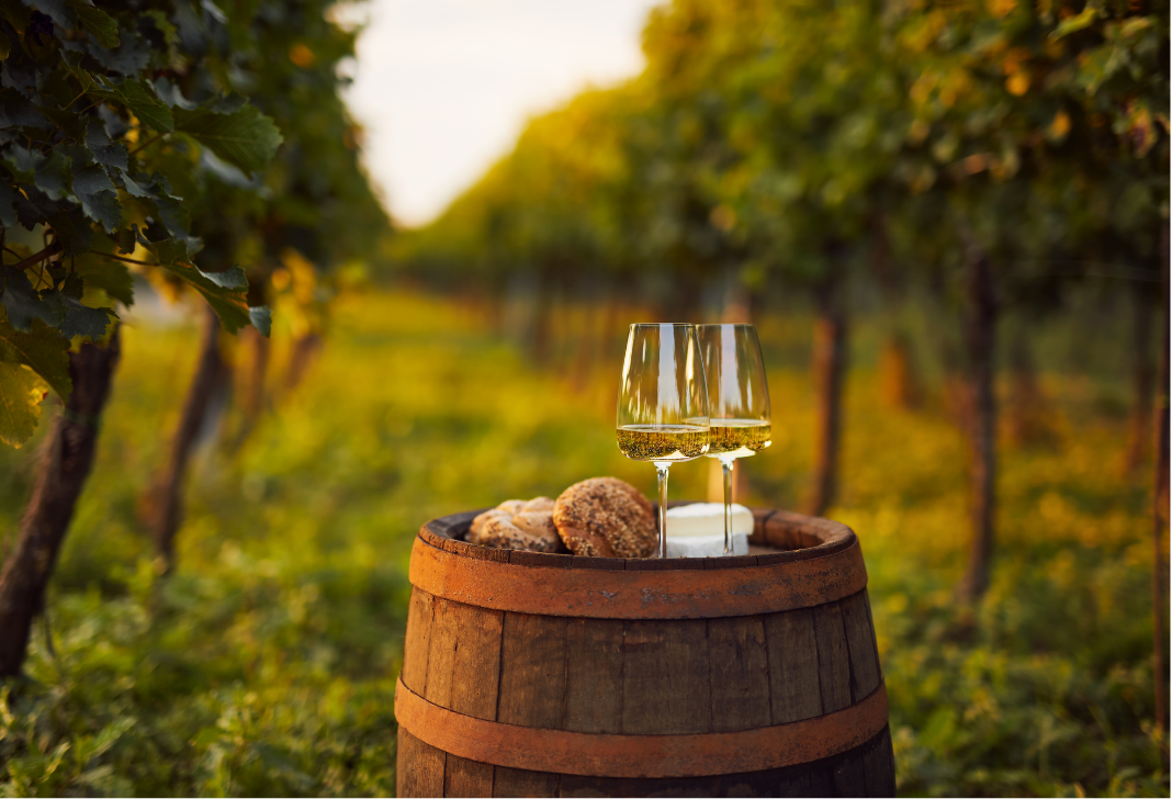 Glass of zero alcohol wine